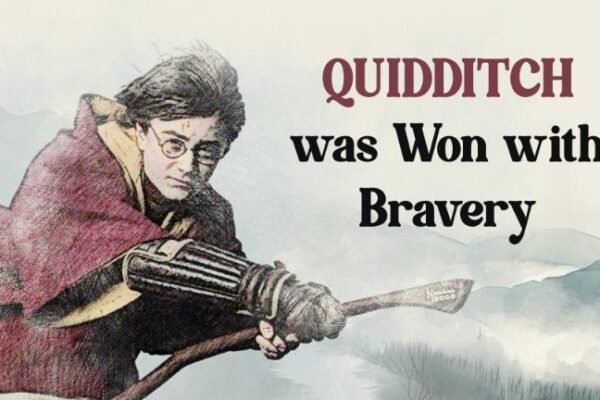 Quidditch was won with bravery (2)